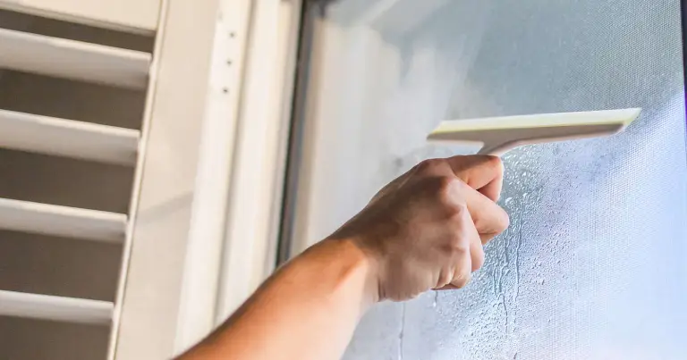 Cleaning windows and mirrors