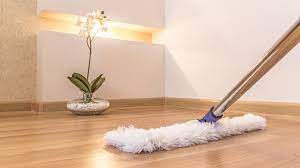 Regularly Vacuum and Mop Floors