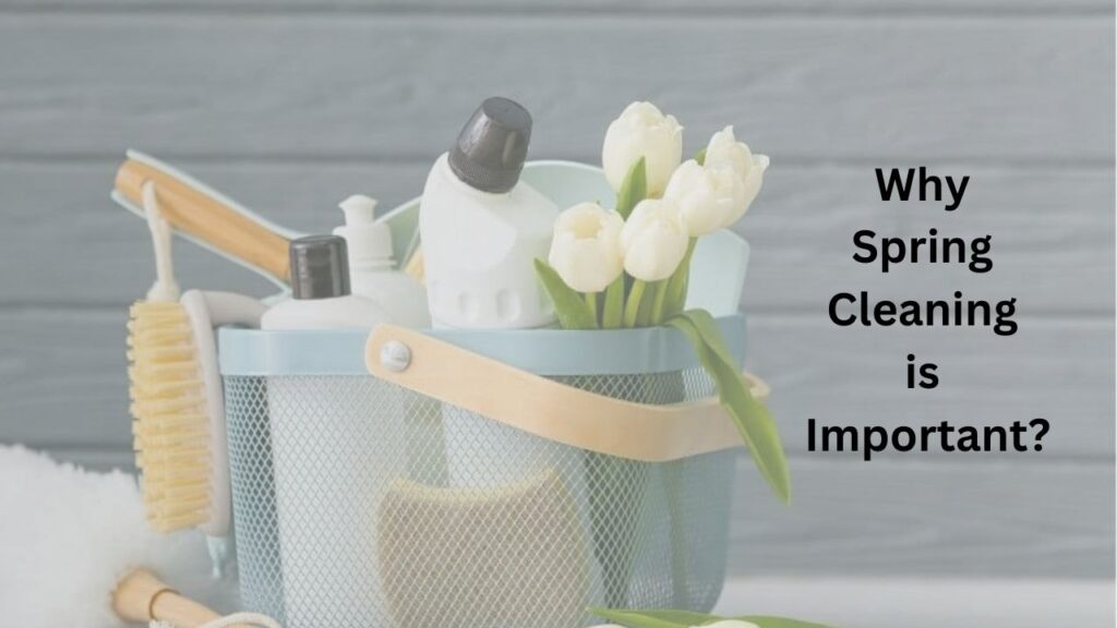 Why Spring Cleaning is Important?